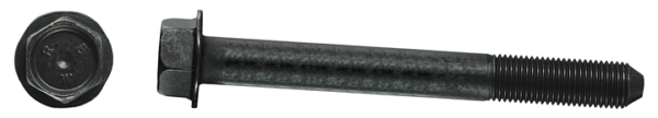 B-12519